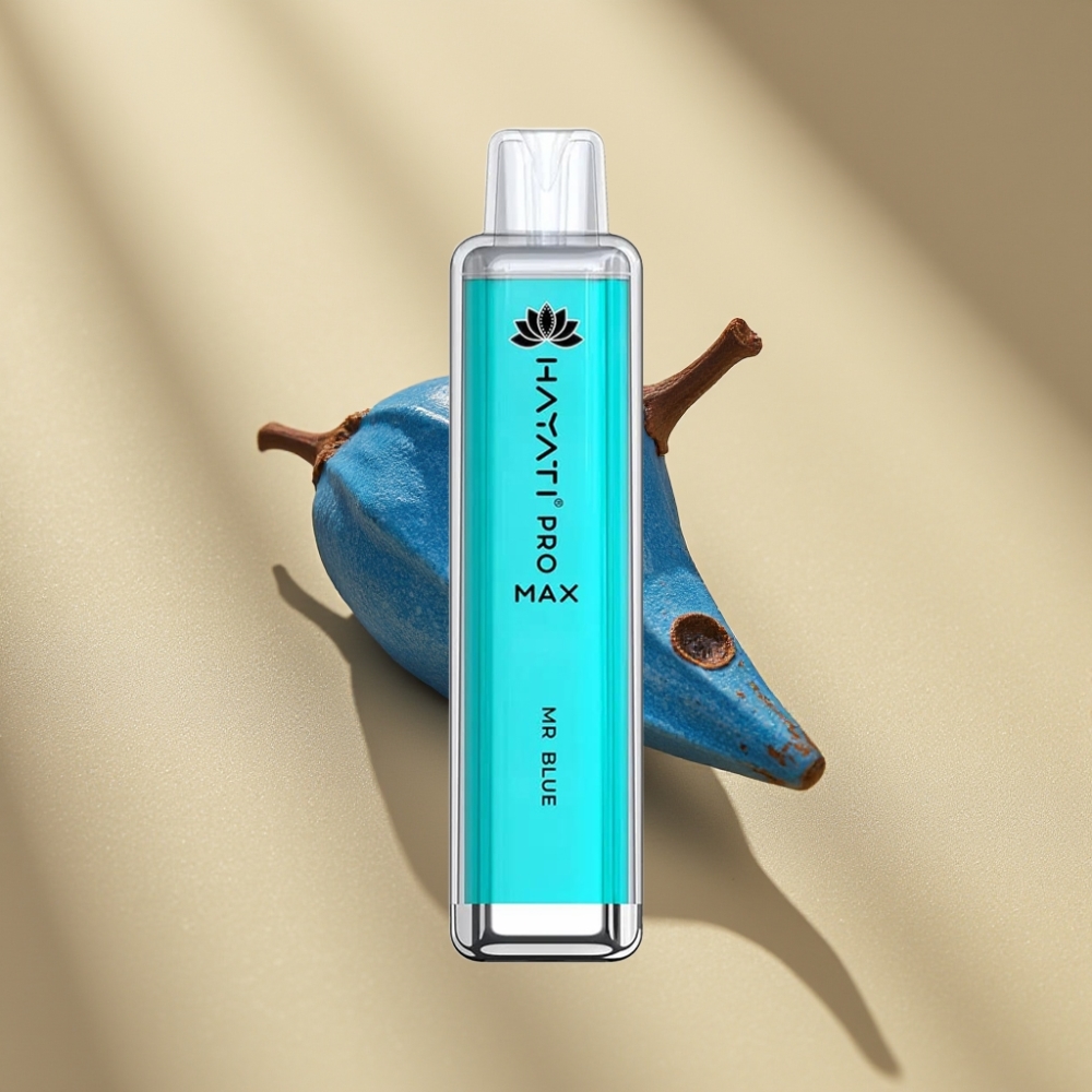 Hayati Pro Max 4000 Puffs Disposable Vape Mr Blue Rechargeable Dual Mesh Coil 1400mAh