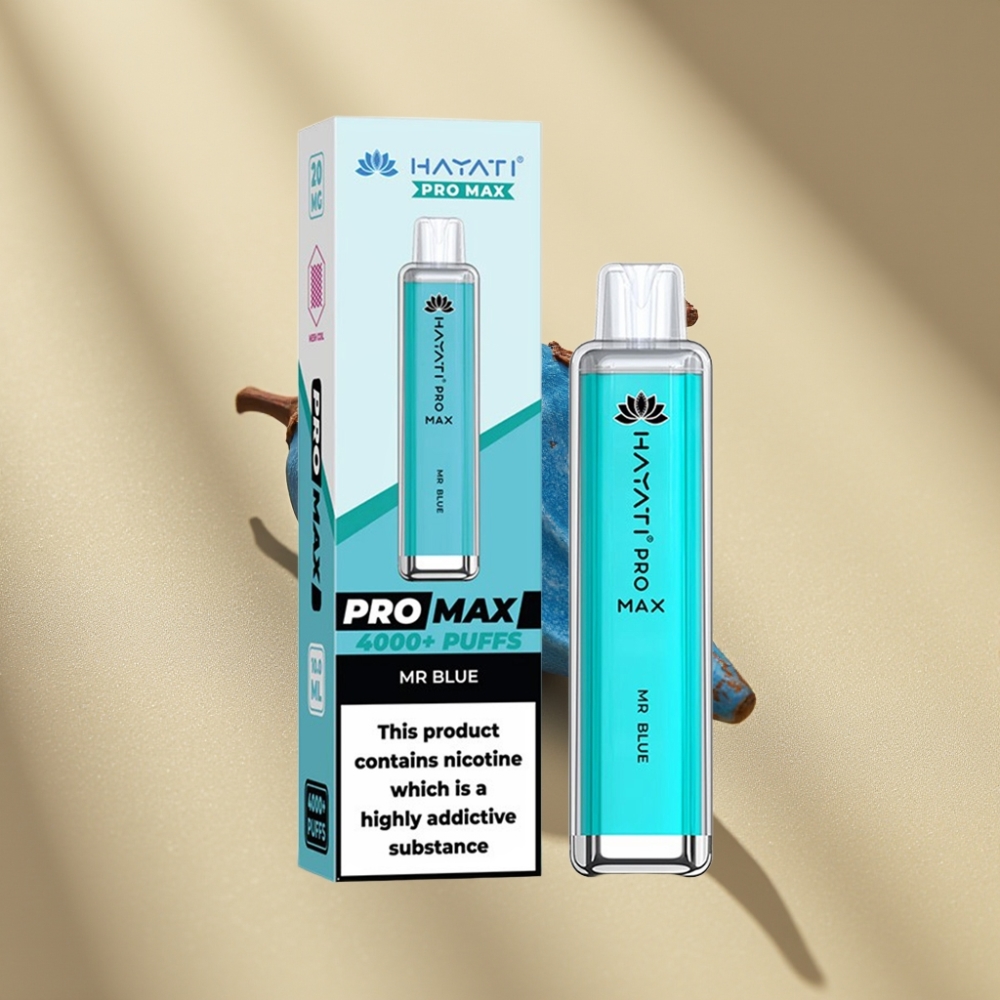 Hayati Pro Max 4000 Puffs Disposable Vape Mr Blue Rechargeable Dual Mesh Coil 1400mAh