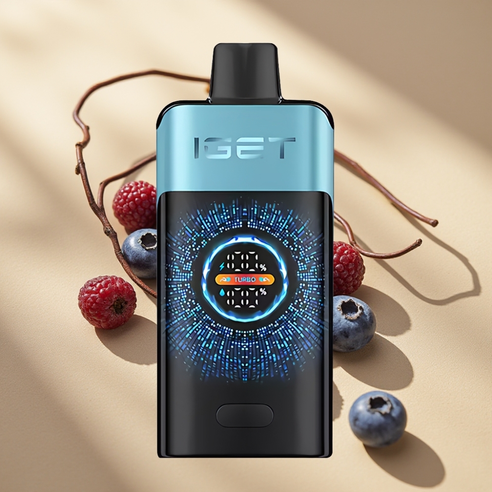 IGET ONE 12000 Puffs Disposable Vape Blueberry Ice 2700mAh 0.6ohm Dual Mesh