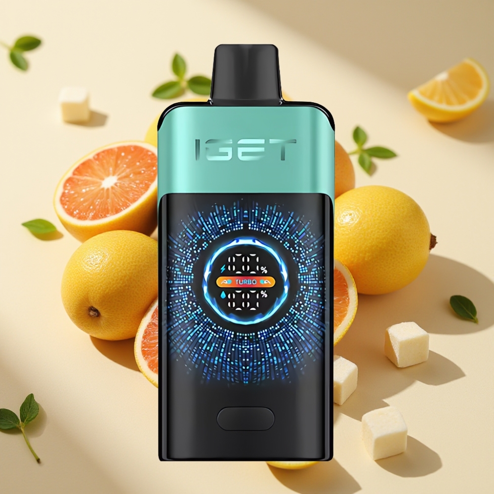 IGET ONE 12000 Puffs Disposable Vape Mountain Spring Mint Ice 2700mAh Dual Mesh Coil